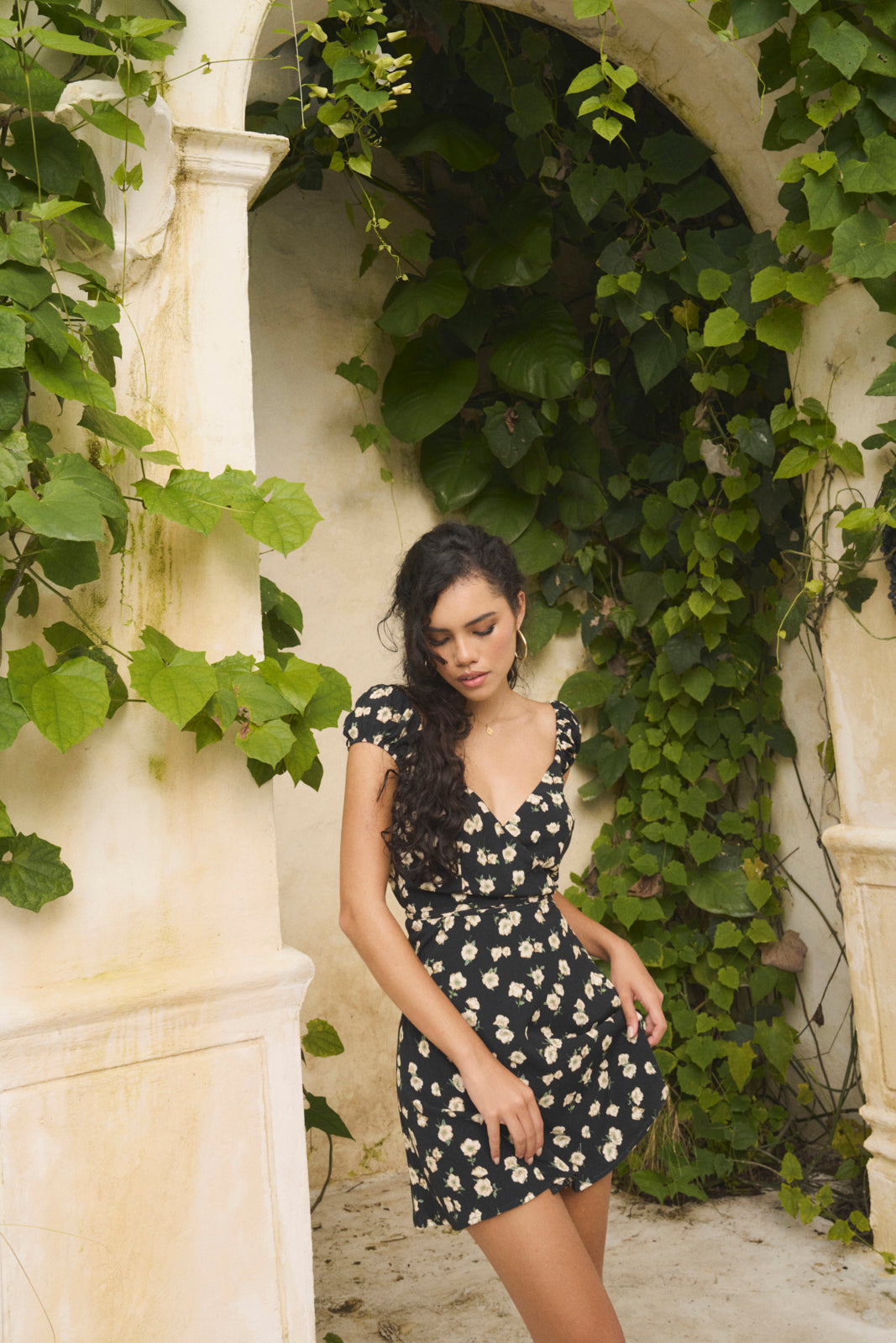 Flora fleur noir