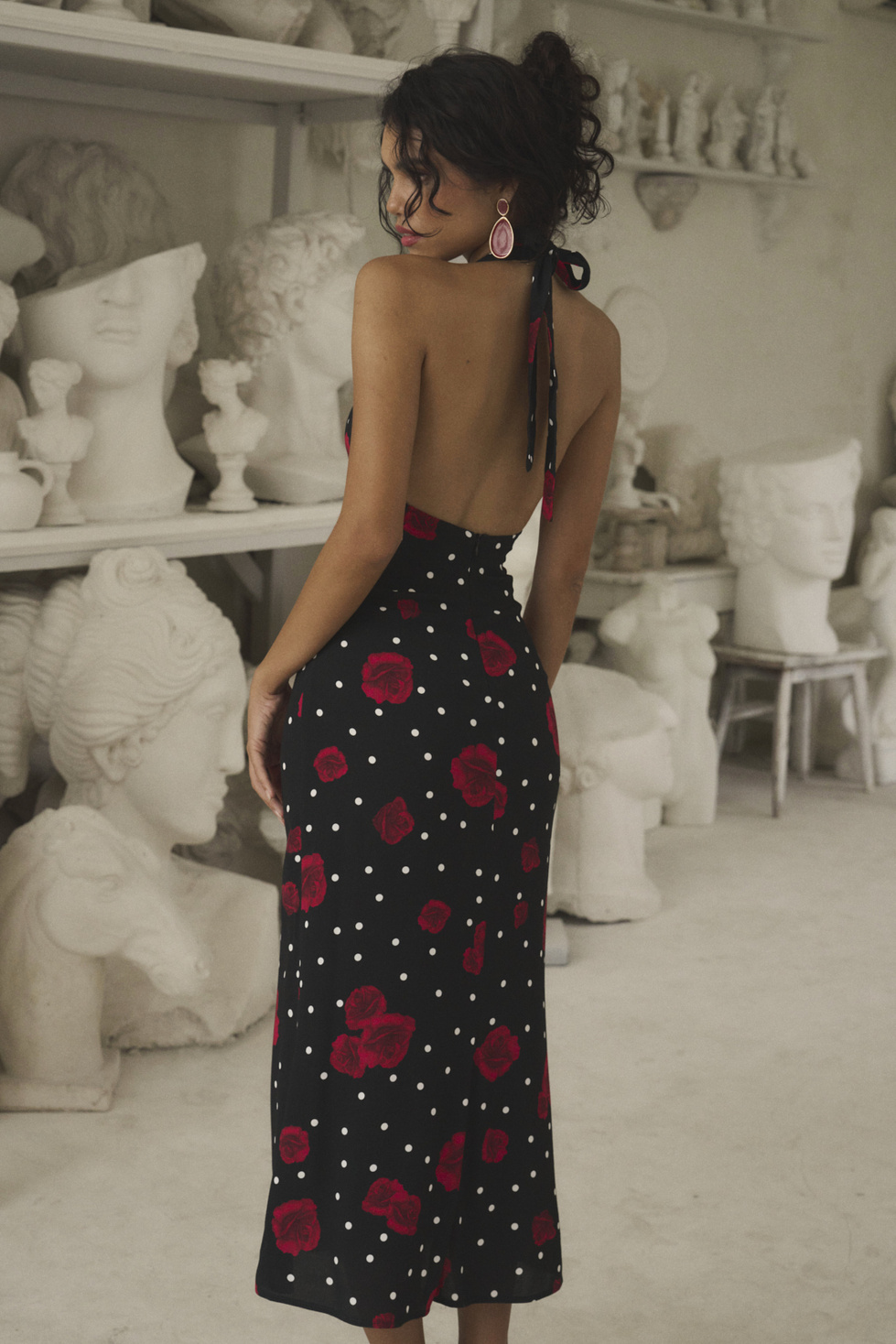 DAPHNE MIDNIGHT DREAM