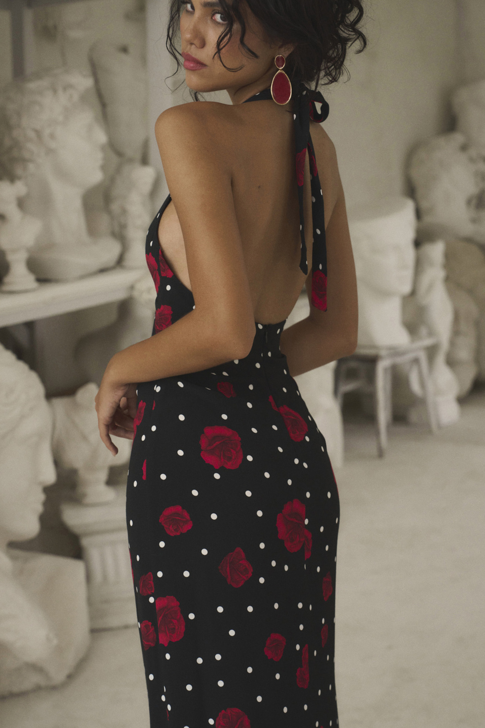 DAPHNE MIDNIGHT DREAM